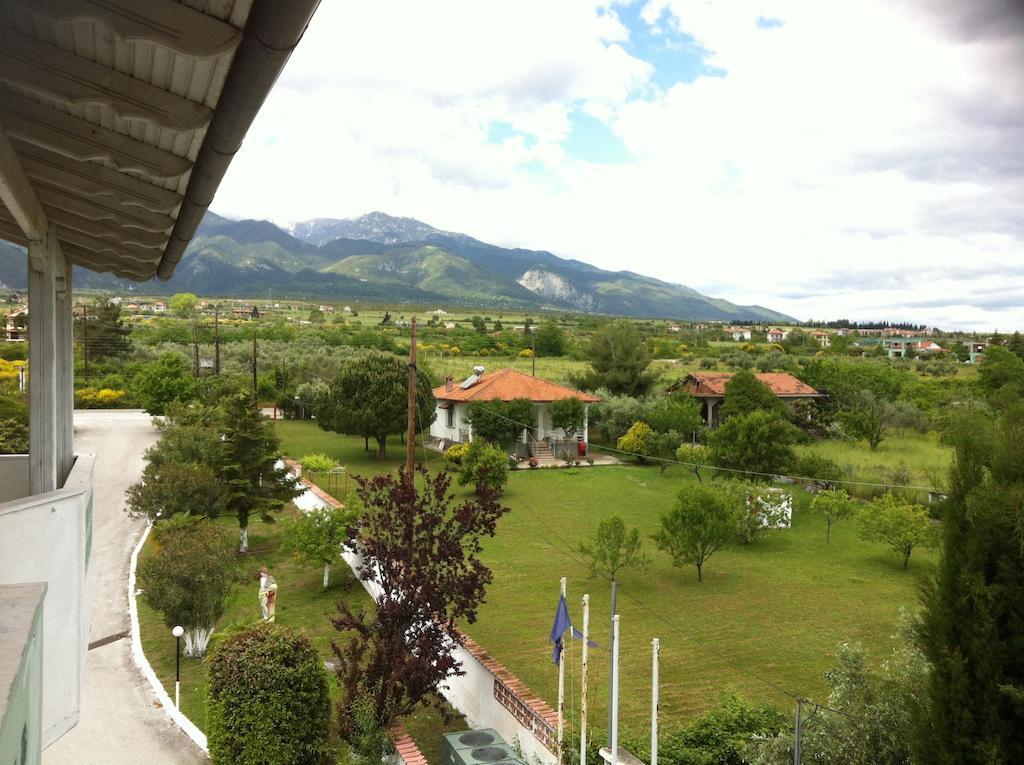 Great Alexander Hotel Plaka Litochorou Room photo